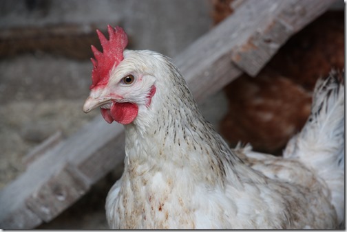 MARTIN_2020_01_03_0715