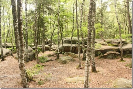 MARTIN_2012_06_30_0003