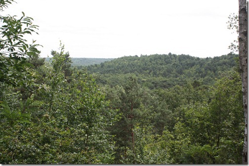 MARTIN_2012_06_30_0016