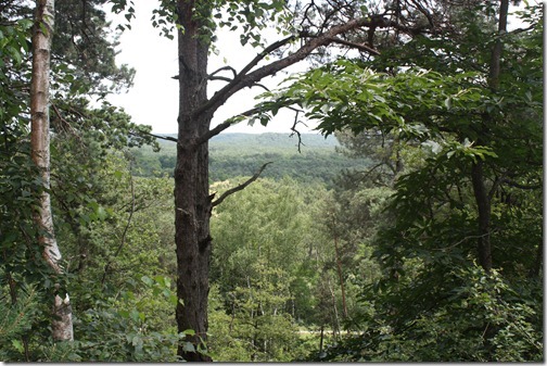 MARTIN_2012_06_30_0017