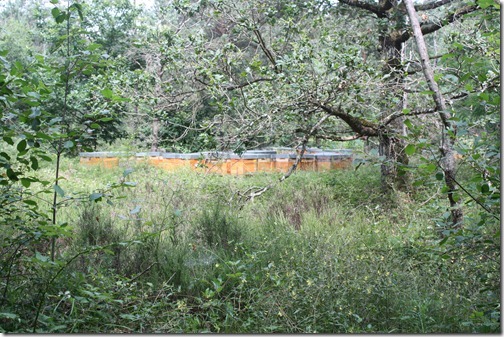 MARTIN_2012_06_30_0020