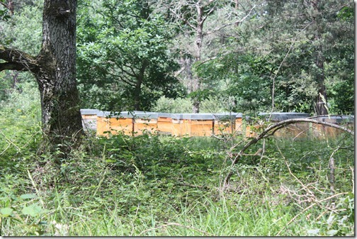 MARTIN_2012_06_30_0021