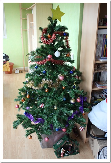 MARTIN_2010_12_11_2453