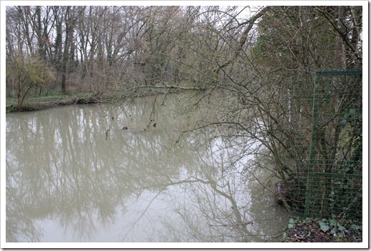 MARTIN_2010_12_11_2457