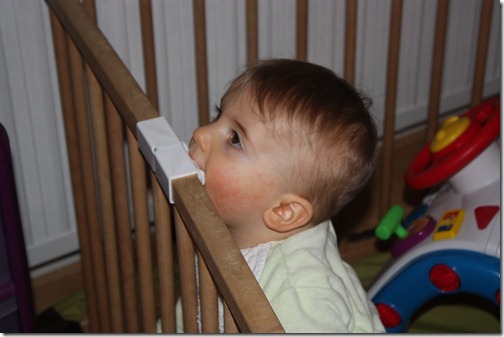 MARTIN_2012_11_26_0265