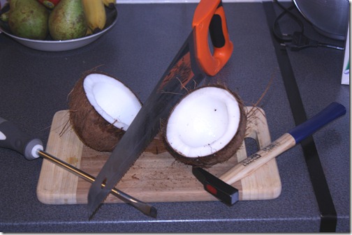 MARTIN_2011_11_29_3808