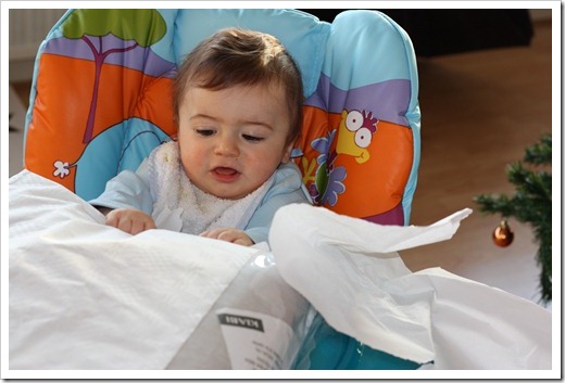 MARTIN_2010_12_25_2533