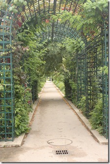 MARTIN_2011_06_13_3327 MARTIN_2011_06_13_3327