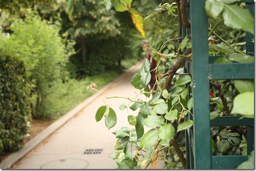 MARTIN_2011_06_13_3328 MARTIN_2011_06_13_3328