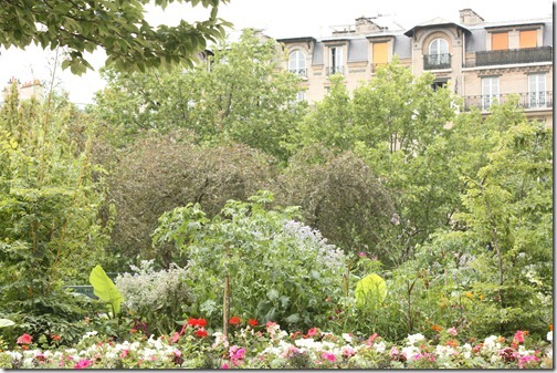 MARTIN_2011_06_13_3332 MARTIN_2011_06_13_3332