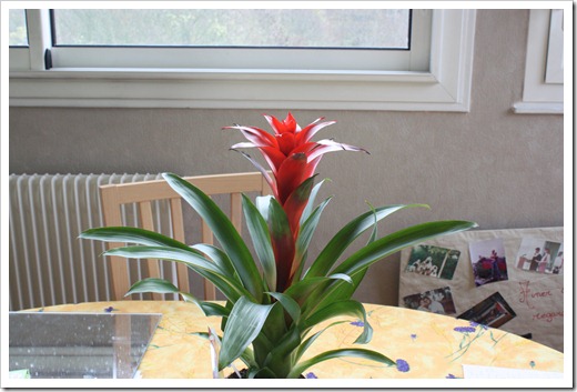 MARTIN_2010_11_12_2310