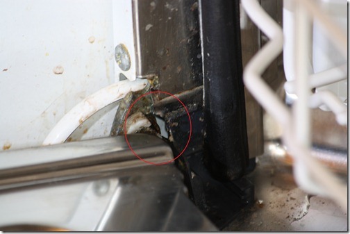 MARTIN_2011_02_19_2674 - Copie