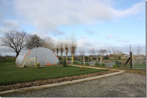 MARTIN_2011_02_26_2793 MARTIN_2011_02_26_2793