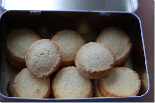 MARTIN_2011_02_18_2667