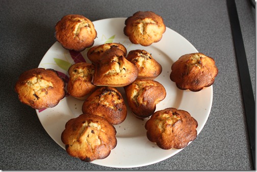 MARTIN_2011_09_11_3757 MARTIN_2011_09_11_3757