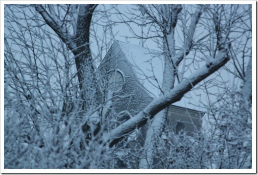 MARTIN_2010_11_29_2430