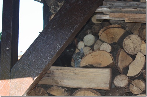 MARTIN_2012_07_17_0054