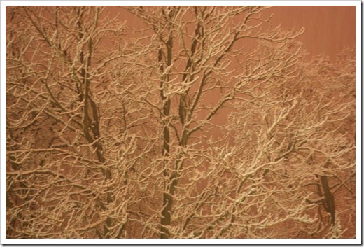 MARTIN_2010_11_26_2361