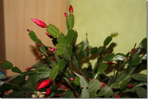 MARTIN_2012_02_28_4225