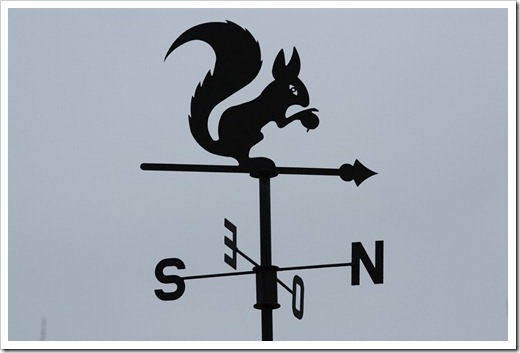 MARTIN_2010_11_28_2385