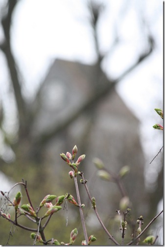 MARTIN_2011_03_30_2968