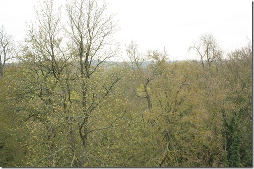 MARTIN_2011_03_30_2976