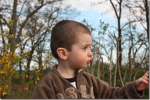 MARTIN_2012_04_20_4473 MARTIN_2012_04_20_4473