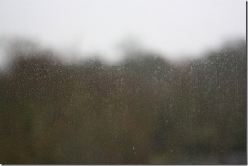 MARTIN_2011_01_17_2605