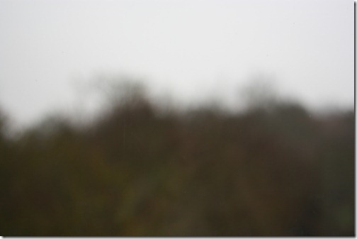 MARTIN_2011_01_17_2606