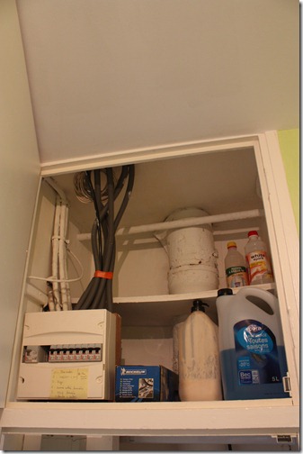 MARTIN_2011_01_17_2609