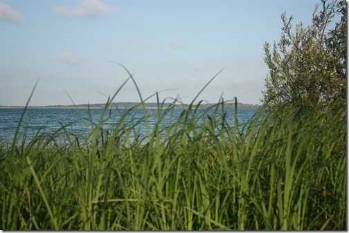 MARTIN_2011_08_19_3675