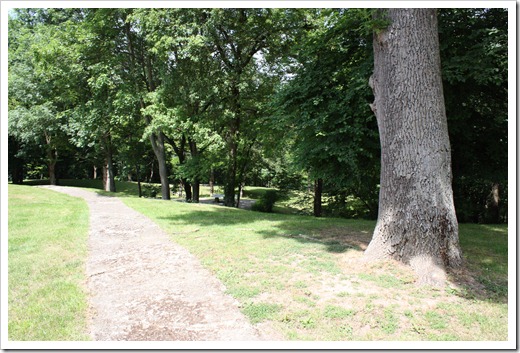 MARTIN_2010_06_05_1236 MARTIN_2010_06_05_1236