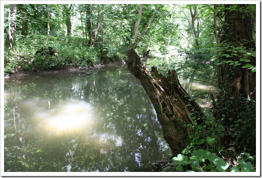 MARTIN_2010_06_05_1243