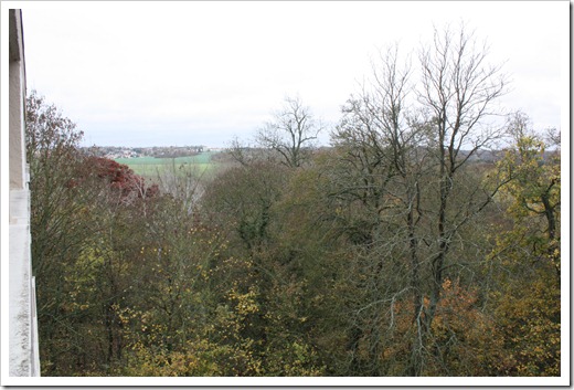 MARTIN_2010_11_08_2370