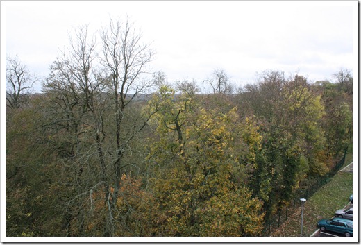 MARTIN_2010_11_08_2371