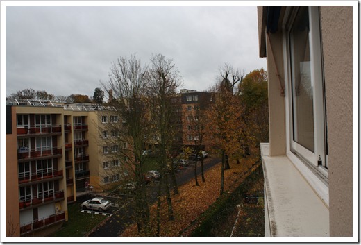 MARTIN_2010_11_08_2373