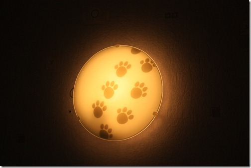 MARTIN_2012_03_17_4286 MARTIN_2012_03_17_4286