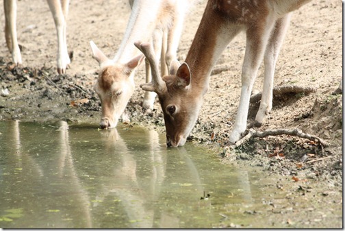 MARTIN_2011_07_14_3385 MARTIN_2011_07_14_3385