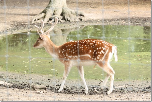 MARTIN_2011_07_14_3386 MARTIN_2011_07_14_3386