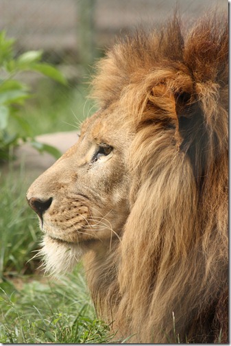 MARTIN_2011_07_14_3406 MARTIN_2011_07_14_3406