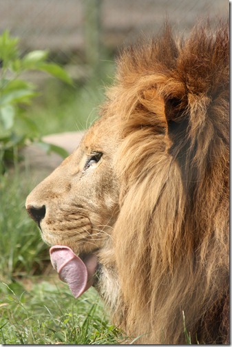 MARTIN_2011_07_14_3407 MARTIN_2011_07_14_3407