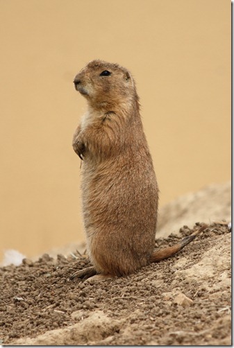 MARTIN_2011_07_14_3412 MARTIN_2011_07_14_3412