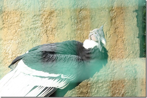 MARTIN_2011_07_14_3440 MARTIN_2011_07_14_3440