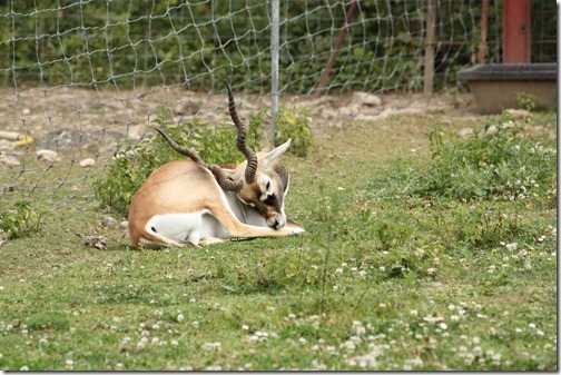 MARTIN_2011_07_14_3459 MARTIN_2011_07_14_3459