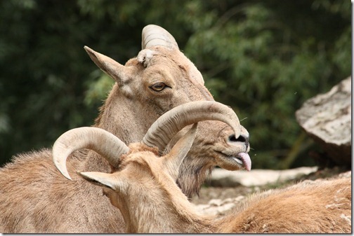 MARTIN_2011_07_14_3474 MARTIN_2011_07_14_3474