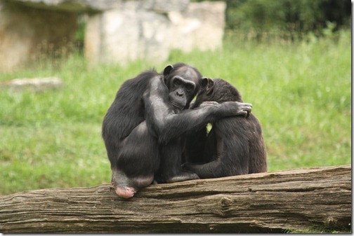 MARTIN_2011_07_14_3491 MARTIN_2011_07_14_3491