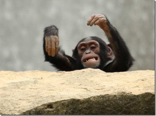 MARTIN_2011_07_14_3493 MARTIN_2011_07_14_3493