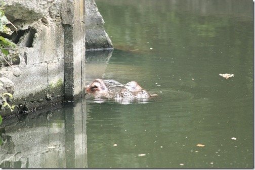 MARTIN_2011_07_14_3504 MARTIN_2011_07_14_3504