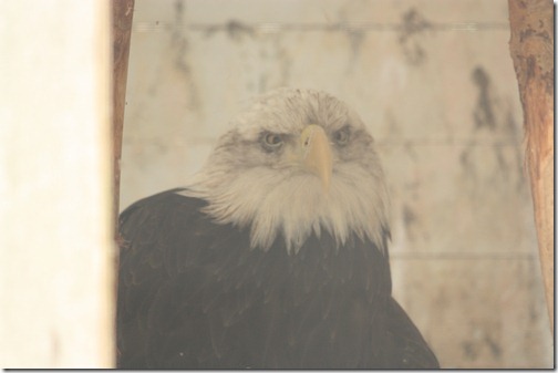 MARTIN_2011_07_14_3511 MARTIN_2011_07_14_3511