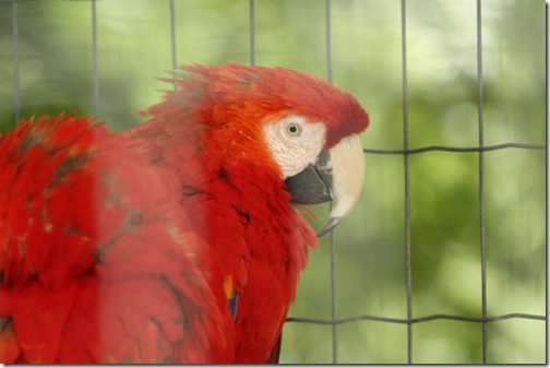 MARTIN_2011_07_14_3513 MARTIN_2011_07_14_3513